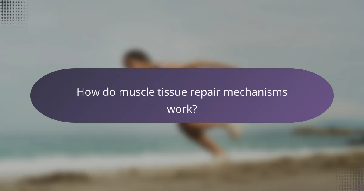 How do muscle tissue repair mechanisms work?