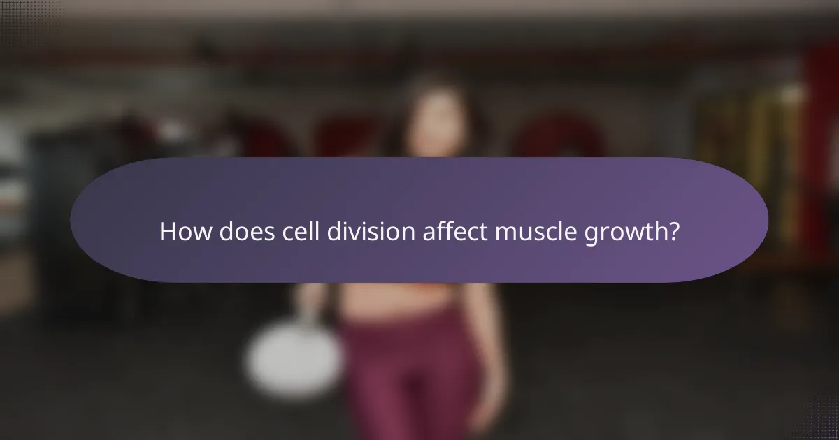How does cell division affect muscle growth?