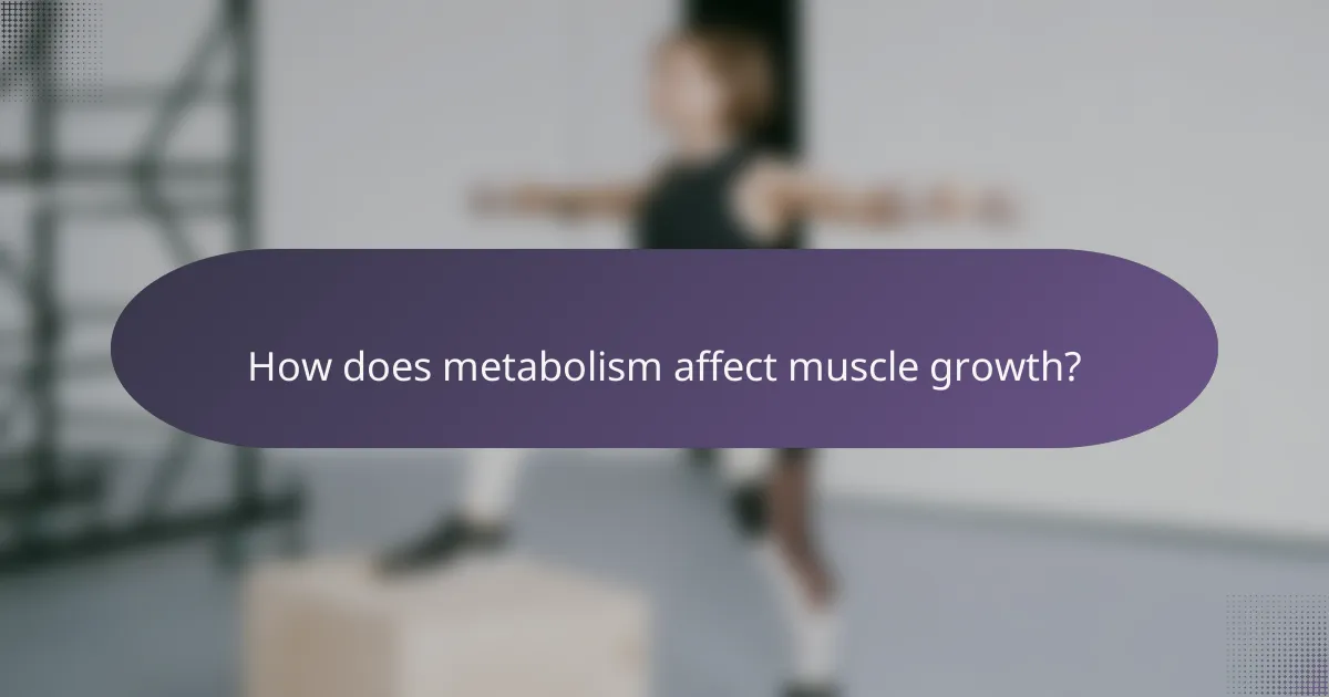 How does metabolism affect muscle growth?