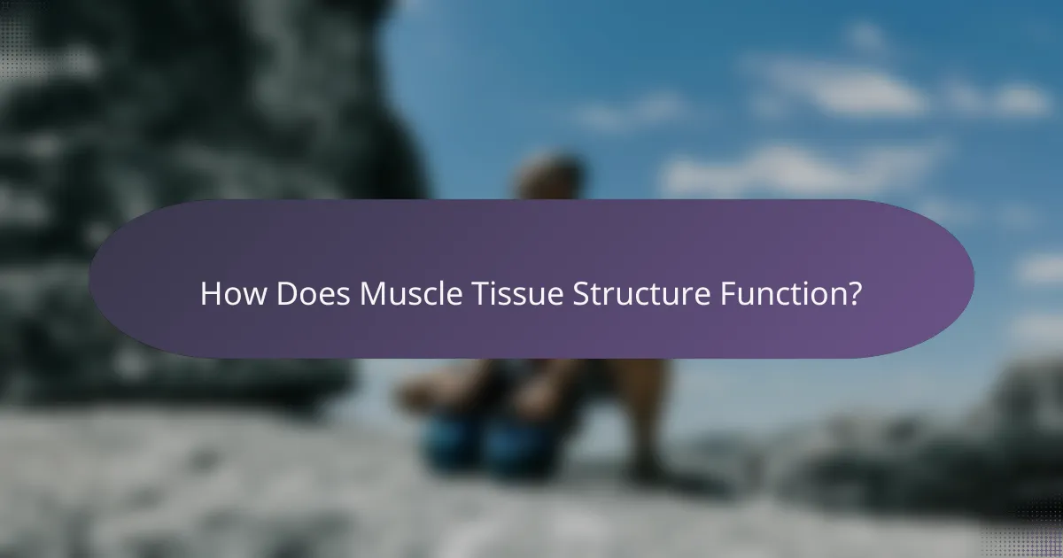 How Does Muscle Tissue Structure Function?