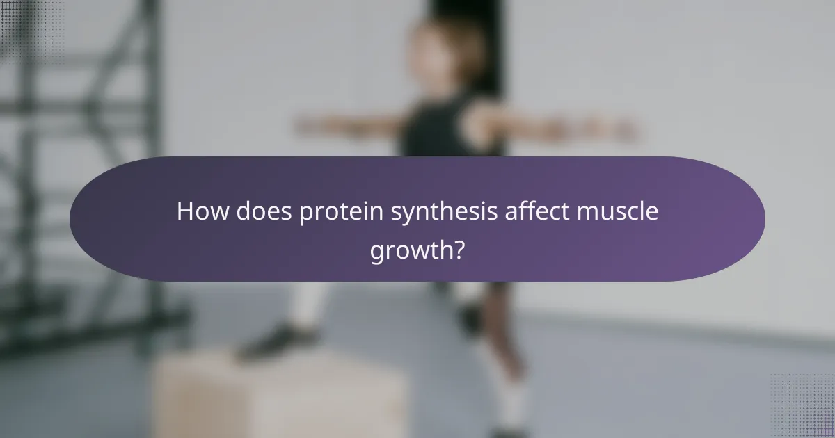 How does protein synthesis affect muscle growth?