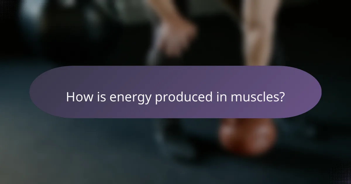 How is energy produced in muscles?
