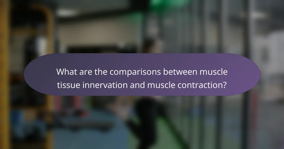 What are the comparisons between muscle tissue innervation and muscle contraction?