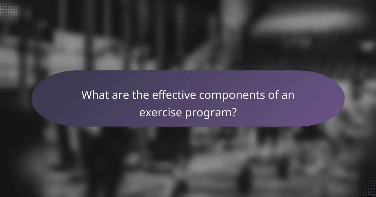 What are the effective components of an exercise program?