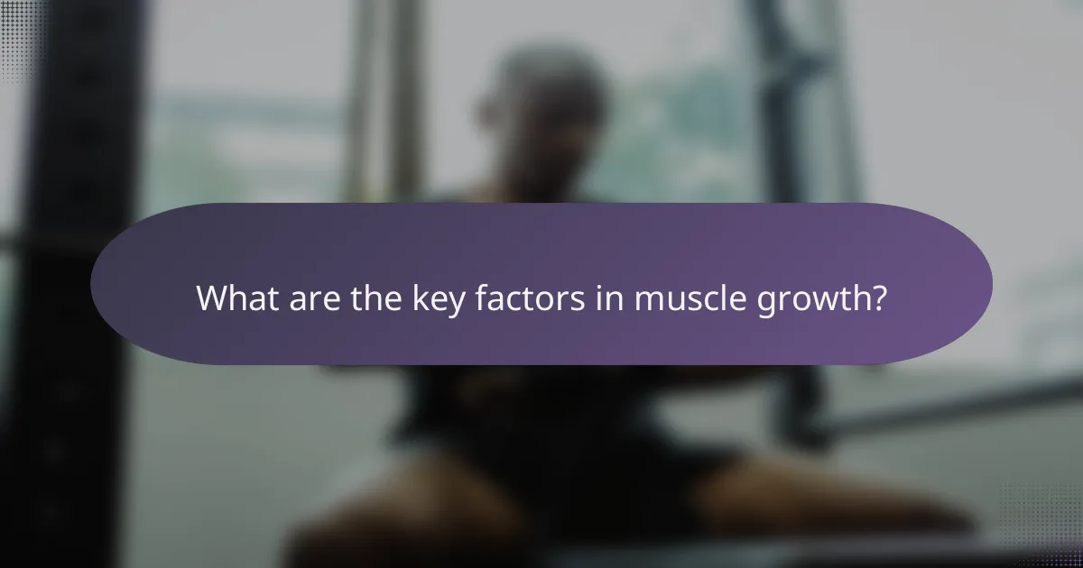 What are the key factors in muscle growth?