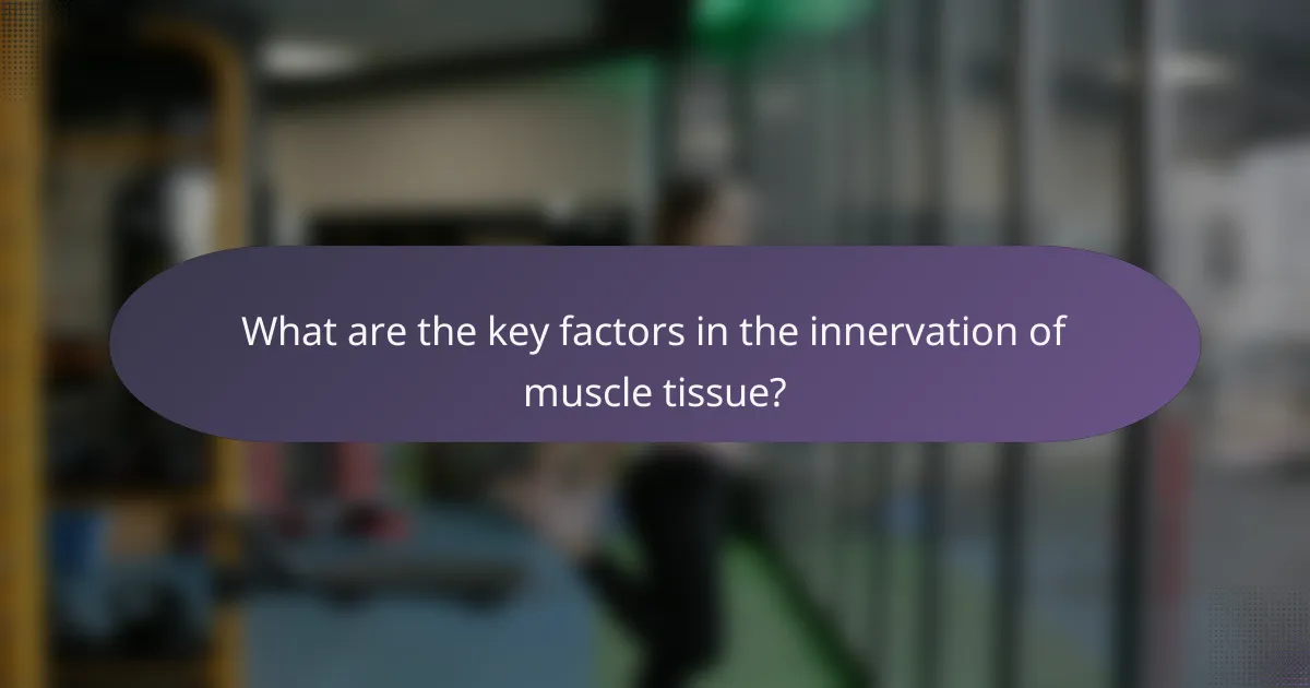 What are the key factors in the innervation of muscle tissue?