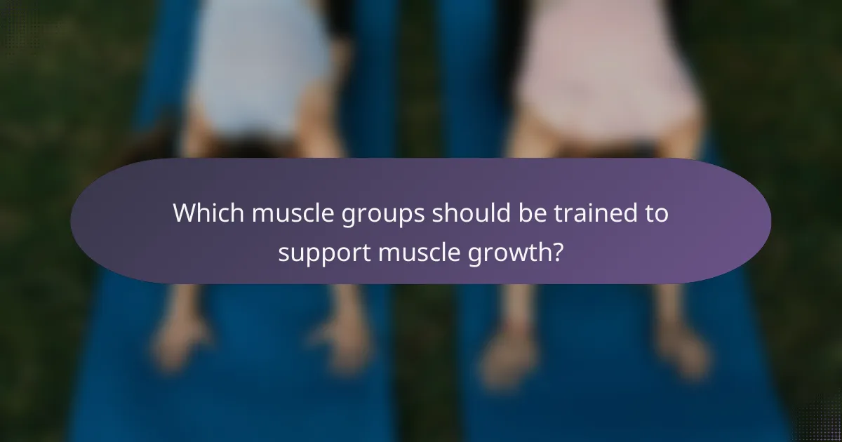 Which muscle groups should be trained to support muscle growth?